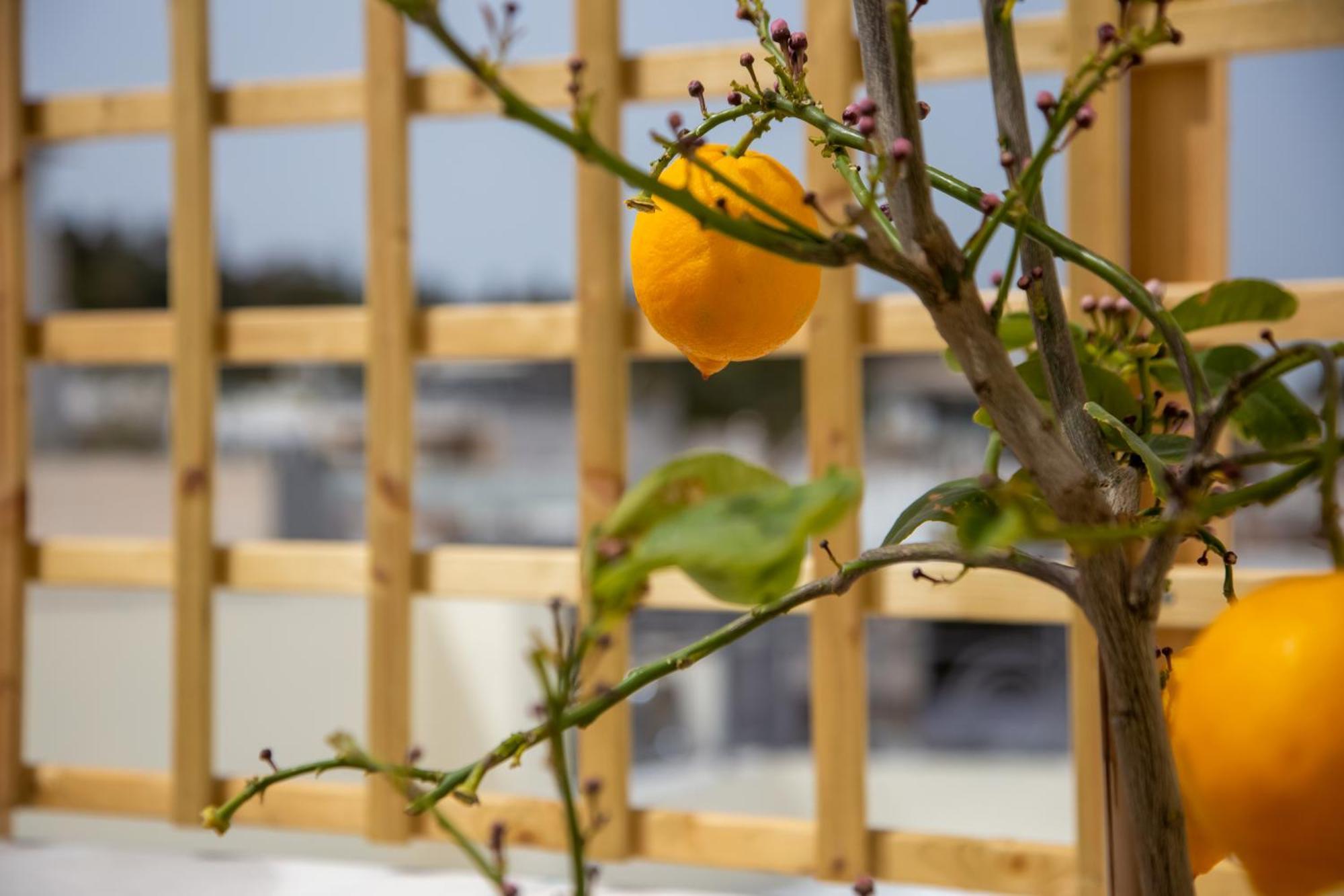 Polymnia & Melpomene By Heloni Apartments Athens Ngoại thất bức ảnh